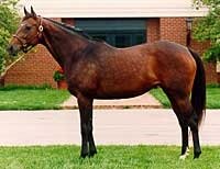 Kentucky Broodmare of the Year Weekend Surprise Dead Kentucky Broodmare of the Year Weekend Surprise Dead