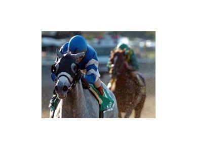Stellar Jayne continues toward BC return with smooth Ruffian win.
