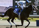 Stunning Stag makes his third attempt at winning the Eclipse Stakes.