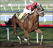 Saratoga County Blazes to Mr. Prospector Win Saratoga County Blazes to Mr. Prospector Win