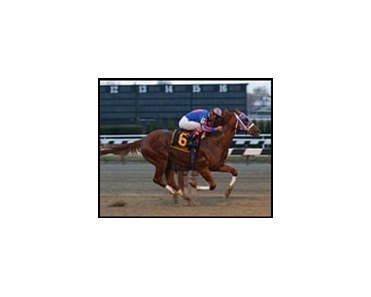 Left Banks's victory in the Cigar Mile was one of three major wins for jockey John Velazquez on Nov. 24.