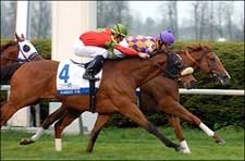 Ascertain Finds Answer in Closing Day Elkhorn Win Ascertain Finds Answer in Closing Day Elkhorn Win