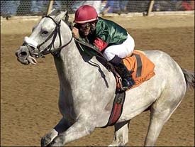 Najran Flies in Phoenix BC at Keeneland Najran Flies in Phoenix BC at Keeneland