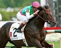 Chester House Will Stand at Juddmonte Chester House Will Stand at Juddmonte