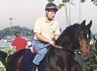 Singspiel, winner of the 1997 Dubai World Cup, will be part of Darley's stallion division in Australia.