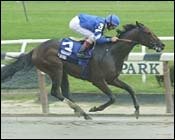 Belmont Park Race Report: Godolphin's Flag Bearer Belmont Park Race Report: Godolphin's Flag Bearer