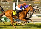 Tasha's Miracle (outside) outnods Gorgeous Goose in the Harold C. Ramser Sr. Handicap.