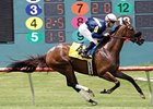 Wasted Tears wins the Ouija Board Distaff Stakes.