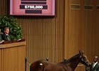 Hip #807, Giant's Causeway colt, brought $750,000 on Sept. 13 during the early portion of the Keeneland September yearling sale's fourth session.