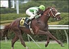 Californian Pulls Away to Win Forerunner Californian Pulls Away to Win Forerunner