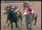 Buddha, winning the Wood Memorial.