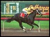 Raging Fever Notches Seventh Victory in First Lady Raging Fever Notches Seventh Victory in First Lady