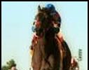 Starrer provided Jerry Bailey and David Hofmans with the first of two graded stakes wins Saturday.