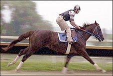 Smarty Jones' Final Workout Goes Without a Hitch Smarty Jones' Final Workout Goes Without a Hitch
