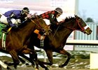 My List Rallies For Bessarabian Win My List Rallies For Bessarabian Win