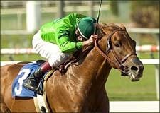Desert Code Wires Affirmed Handicap Desert Code Wires Affirmed Handicap