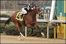 Teuflesberg Out of Preakness, Trainer Says Teuflesberg Out of Preakness, Trainer Says