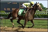 Meetyouathebrig Romps in Derby Trial Meetyouathebrig Romps in Derby Trial