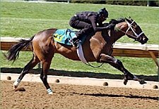 Colts by Dixie Union, Pioneering Turn In Fast Works for Keeneland Juvenile Auction Colts by Dixie Union, Pioneering Turn In Fast Works for Keeneland Juvenile Auction