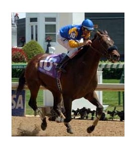 Trickey Trevor wins the Churchill Downs Handicap.
