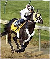 Supah Blitz Sizzles in First Churchill Workout; Sir Cherokee, Offlee Wild Work Supah Blitz Sizzles in First Churchill Workout; Sir Cherokee, Offlee Wild Work