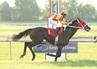 Rumor Has It, who won last year's Kentucky Cup Turf, is back to try again in 2009.
