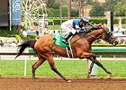 Sunday Rules delivers victory in the Spring Fever Stakes.