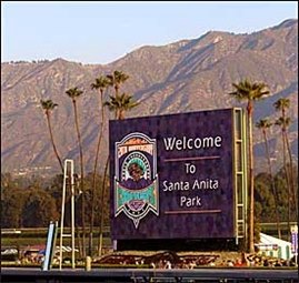 Sun Shining Bright at Santa Anita for Breeders' Cup Sun Shining Bright at Santa Anita for Breeders' Cup
