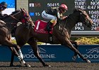 Black Hornet winning the 2015 Vigil Stakes.
