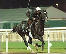 Roses in May Draws Post 12 for Dubai World Cup Roses in May Draws Post 12 for Dubai World Cup