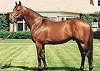 Smart Stike has been nominated for induction into Canada's Horse Racing Hall of Fame.