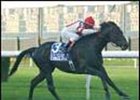 Kelso winner Forbidden Apple was voted Florida Horse of the Year for 2001.