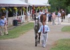 Keeneland Day 14: More of the Same Keeneland Day 14: More of the Same