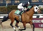 Attila's Storm captures Toboggan 'Cap at Aqueduct.<br><a target="blank" href="http://www.bloodhorse.com/horse-racing/photo-store?ref=http%3A%2F%2Fpictopia.com%2Fperl%2Fgal%3Fprovider_id%3D368%26ptp_photo_id%3D866348%26ref%3Dstory">Order This Photo</a>