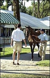 Keeneland September Sale Opens Monday With Select Yearlings Keeneland September Sale Opens Monday With Select Yearlings