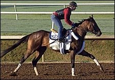 Birdstone Gets First Feel of Lone Star Birdstone Gets First Feel of Lone Star