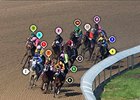 2015 Kentucky Oaks Race Sequence 2015 Kentucky Oaks Race Sequence