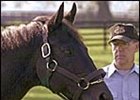 Slew Reaches Milestone With 100th Stakes Winner Slew Reaches Milestone With 100th Stakes Winner