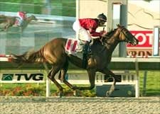 Set Play Scores for Underdogs in Del Mar Debutante Set Play Scores for Underdogs in Del Mar Debutante