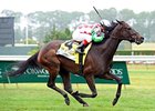 C. S. Silk flies home in the Just a Game Stakes.<br><a target="blank" href="http://www.bloodhorse.com/horse-racing/photo-store?ref=http%3A%2F%2Fpictopia.com%2Fperl%2Fgal%3Fprovider_id%3D368%26ptp_photo_id%3D9561684%26ref%3Dstory">Order This Photo</a>