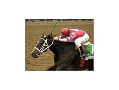 Pampered Princess upset winner of Juddmonte Spinster.