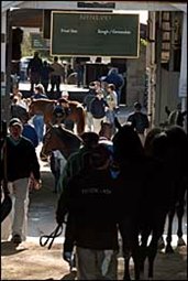 Keeneland Sale Finishing With a Kick Keeneland Sale Finishing With a Kick