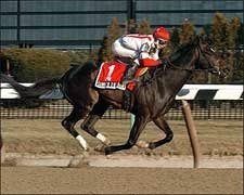Summer Doldrums Shakes Loose in Whirlaway Summer Doldrums Shakes Loose in Whirlaway