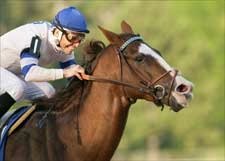 Buzzards Bay Streaks to Oaklawn 'Cap Win Buzzards Bay Streaks to Oaklawn 'Cap Win