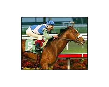 Barbaro comes into the Florida Derby with an eight-week layoff that followed this Holy Bull victory.