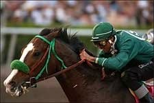 McCann's Mojave One to Beat in Berkeley McCann's Mojave One to Beat in Berkeley