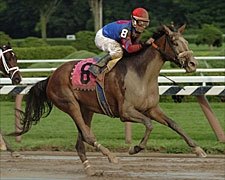 Giant Killer Jerkens Slays Another One; Society Selection Wins Alabama Giant Killer Jerkens Slays Another One; Society Selection Wins Alabama