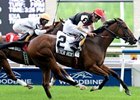 Glitter Rox gets up in the Royal North Stakes.