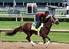 Mr. Z
<br><a target="blank" href="http://photos.bloodhorse.com/TripleCrown/2015-Triple-Crown/Kentucky-Derby-Workouts/i-33g4z38">Order This Photo</a>