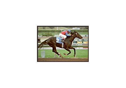Medaglia d'Oro, installed as the morning-line favorite for the Wood Memorial.